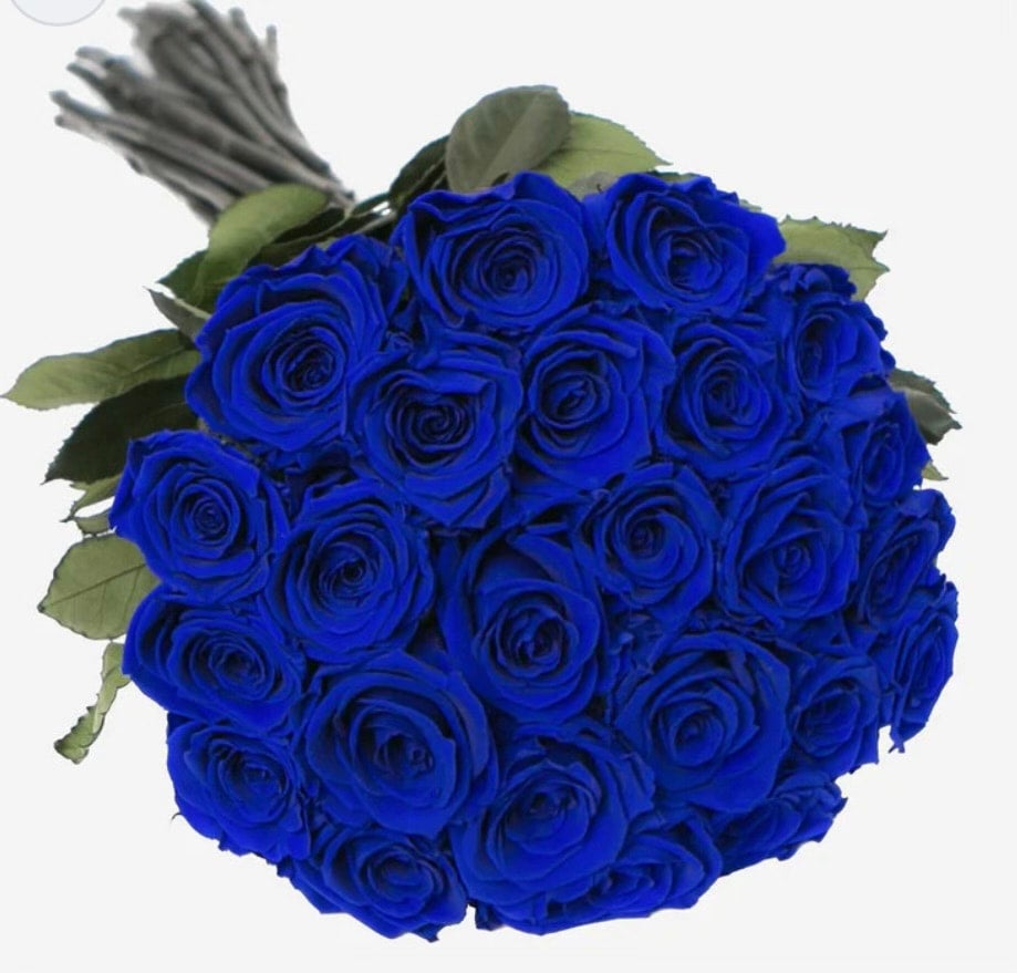 Blue Roses