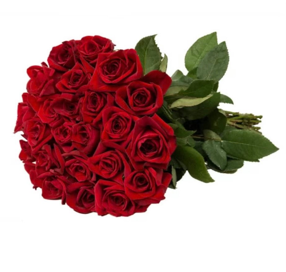 Red Roses